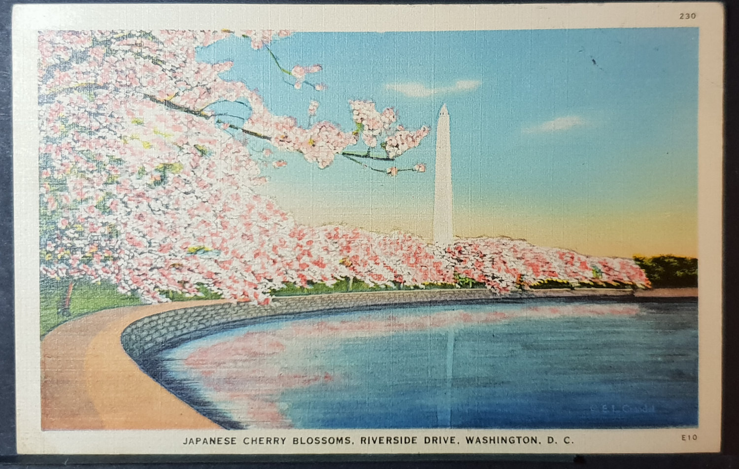 (image for) postcard USA - DC - District of Columbia #0008